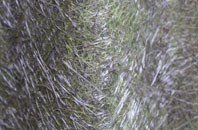 Abercrombie fibreglass roof work